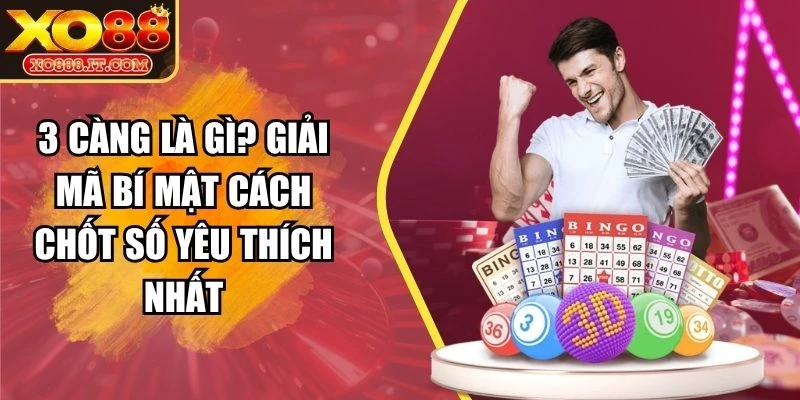 3 càng là gì