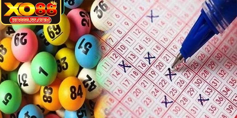Kinh nghiệm từ chuyên gia giúp nuôi lô khung 1 ngày hiệu quả