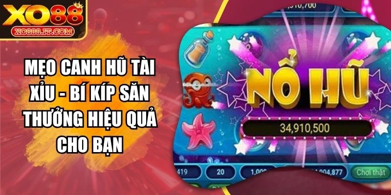 Mẹo Canh Hũ Tài Xỉu