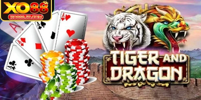 Chia sẻ từ chuyên gia về mẹo chơi Rồng Hổ