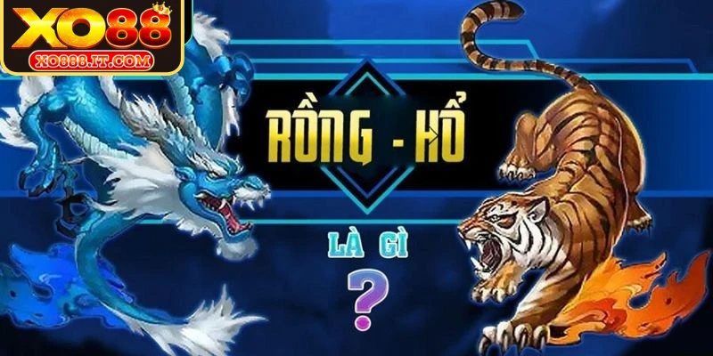 Những mẹo chơi Rồng Hổ giúp tăng cơ hội thắng