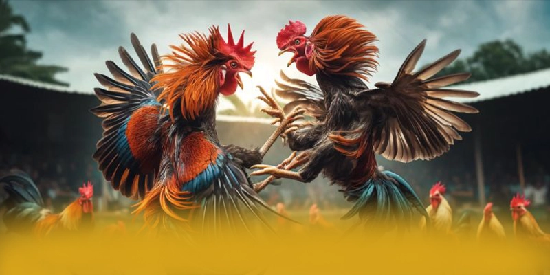 Nhận xét từ cộng đồng người chơi về 8XBET