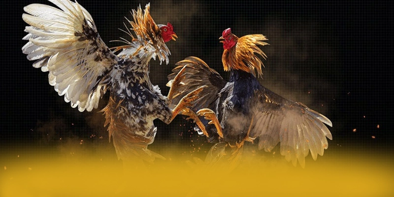 Khả năng truy cập trên điện thoại di động cùng [THUONG_HIEU]