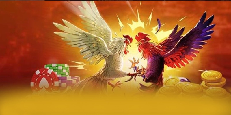 Câu hỏi thường gặp về BET168
