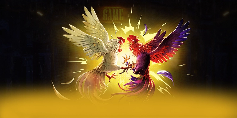 BET168 - Lời kết với góc nhìn khách quan.